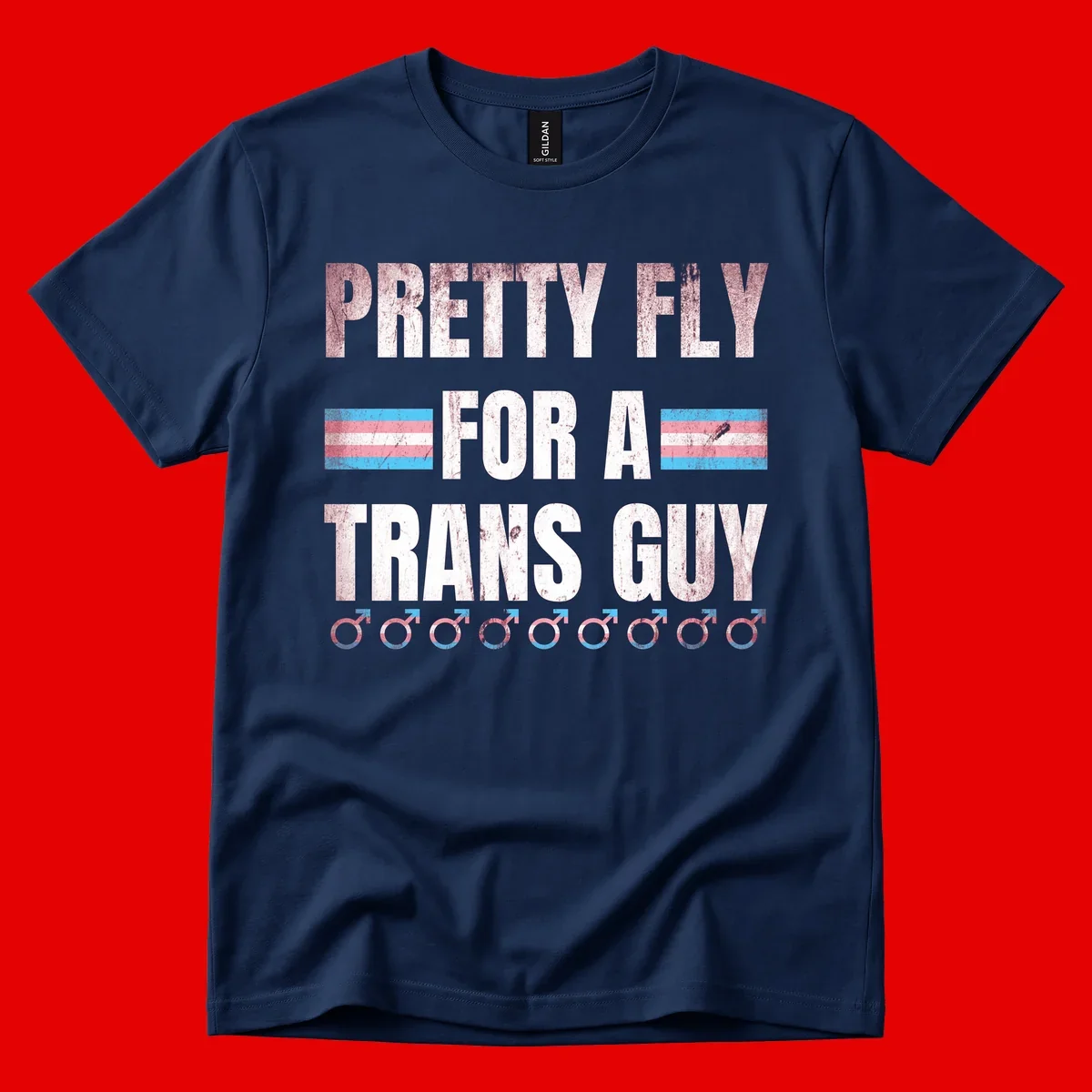 Distressed white text reading 'Pretty Fly For A Trans Guy' with blue and pink transgender pride stripes and male gender symbols