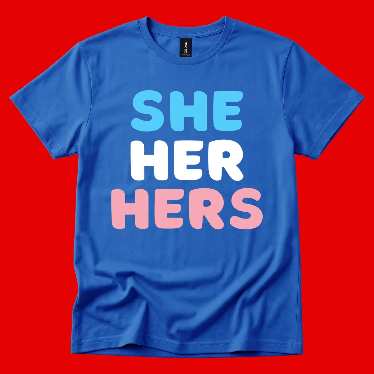 Bold three-line text design reading 'SHE HER HERS' in cyan, white, and pink colors representing she-her-hers pronouns