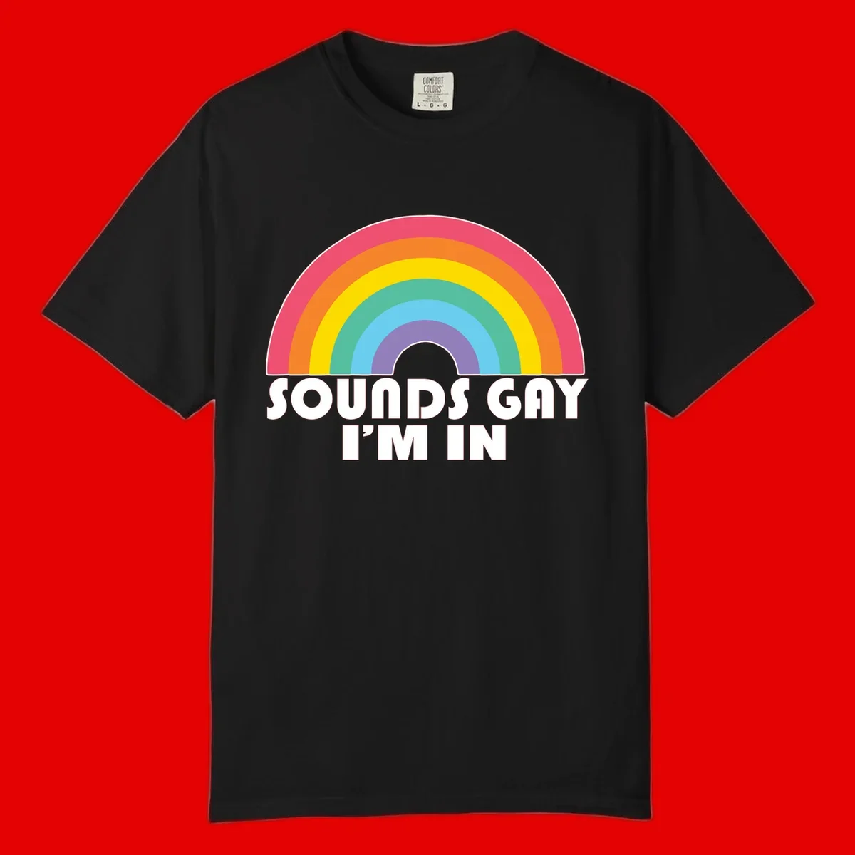 Colorful concentric rainbow arc above white text reading 'Sounds Gay I'm In' on gray background