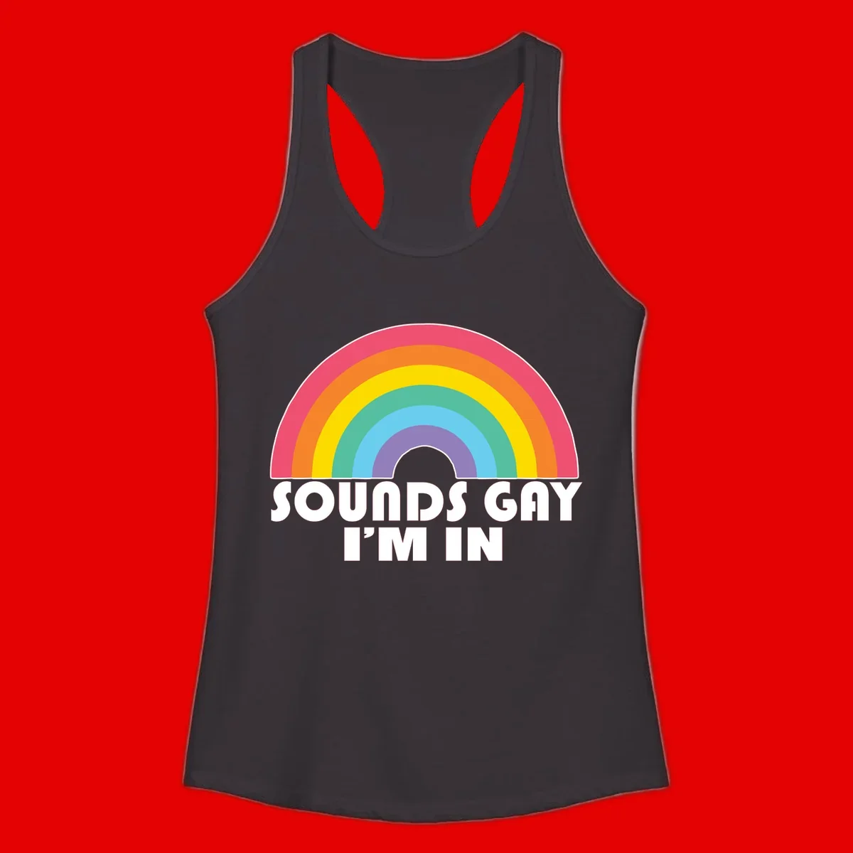 Colorful concentric rainbow arc above white text reading 'Sounds Gay I'm In' on gray background