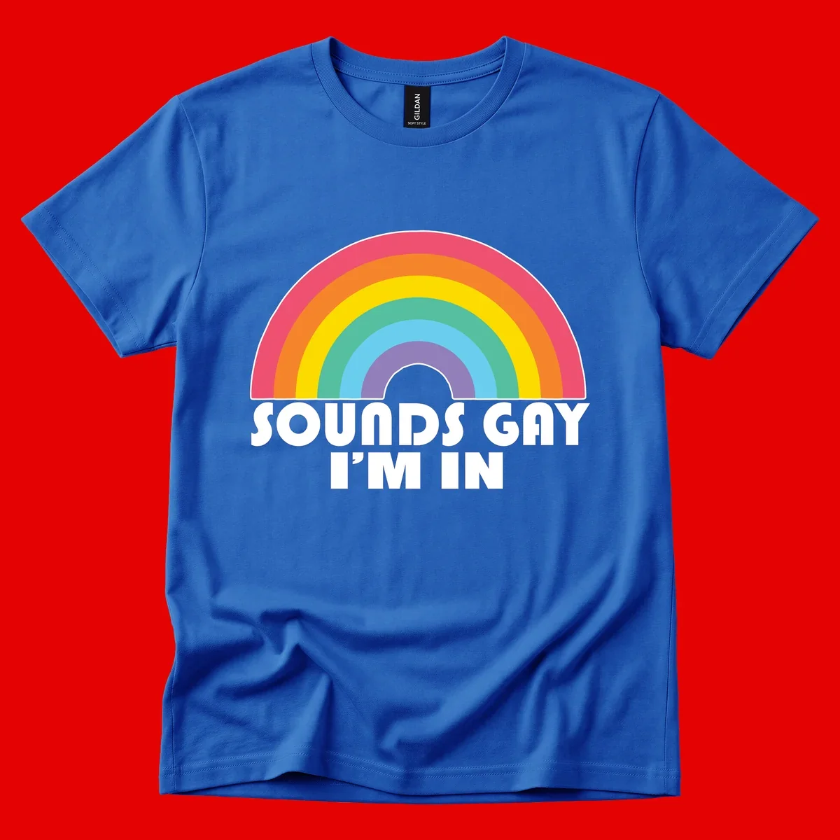 Colorful concentric rainbow arc above white text reading 'Sounds Gay I'm In' on gray background