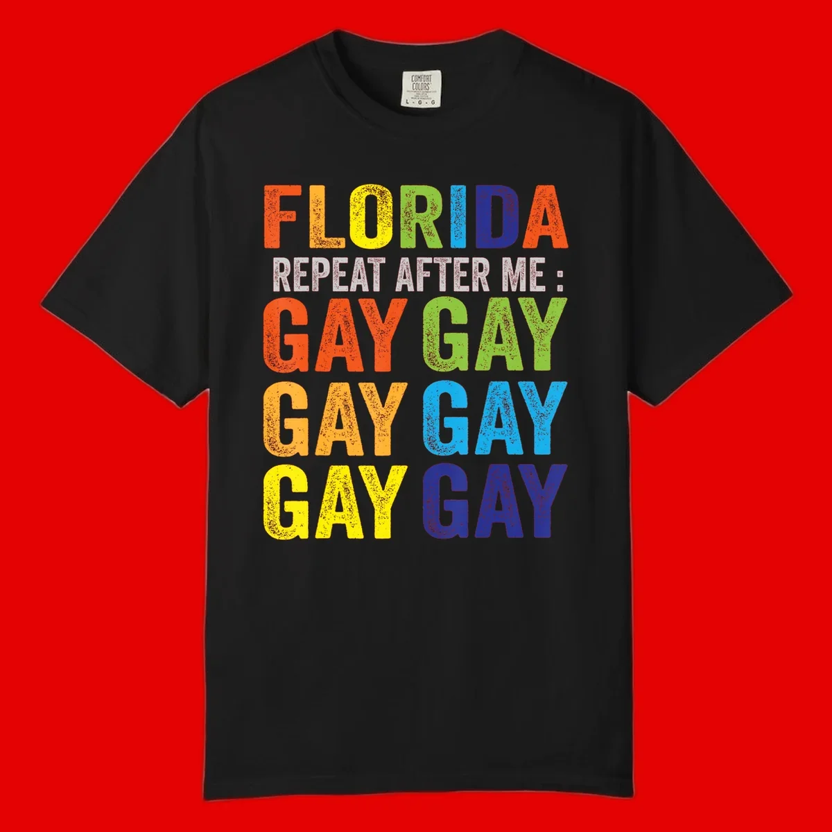 Rainbow colored text reading 'Florida Repeat After Me: Gay Gay Gay Gay' with distressed grunge texture on gray background