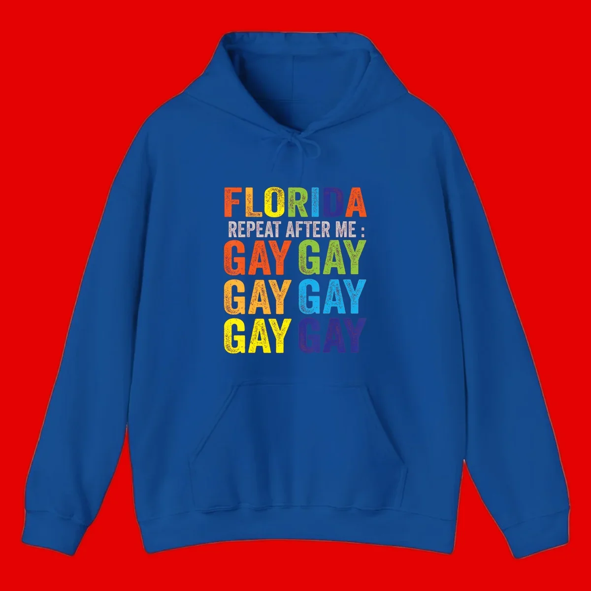 Rainbow colored text reading 'Florida Repeat After Me: Gay Gay Gay Gay' with distressed grunge texture on gray background