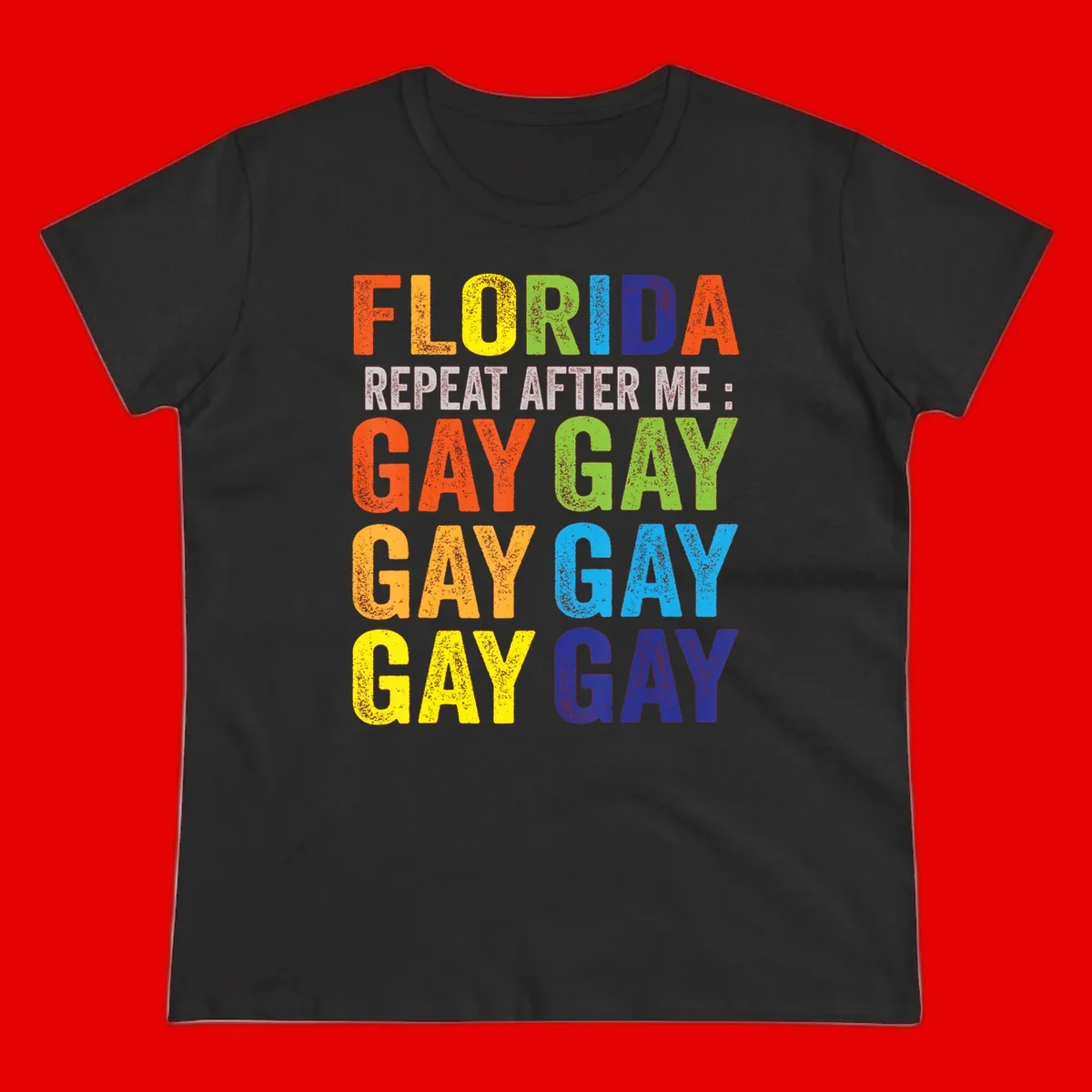 Rainbow colored text reading 'Florida Repeat After Me: Gay Gay Gay Gay' with distressed grunge texture on gray background