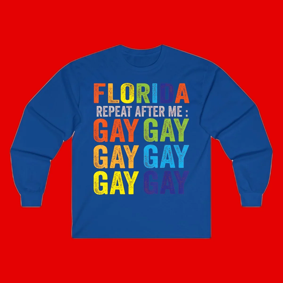 Rainbow colored text reading 'Florida Repeat After Me: Gay Gay Gay Gay' with distressed grunge texture on gray background