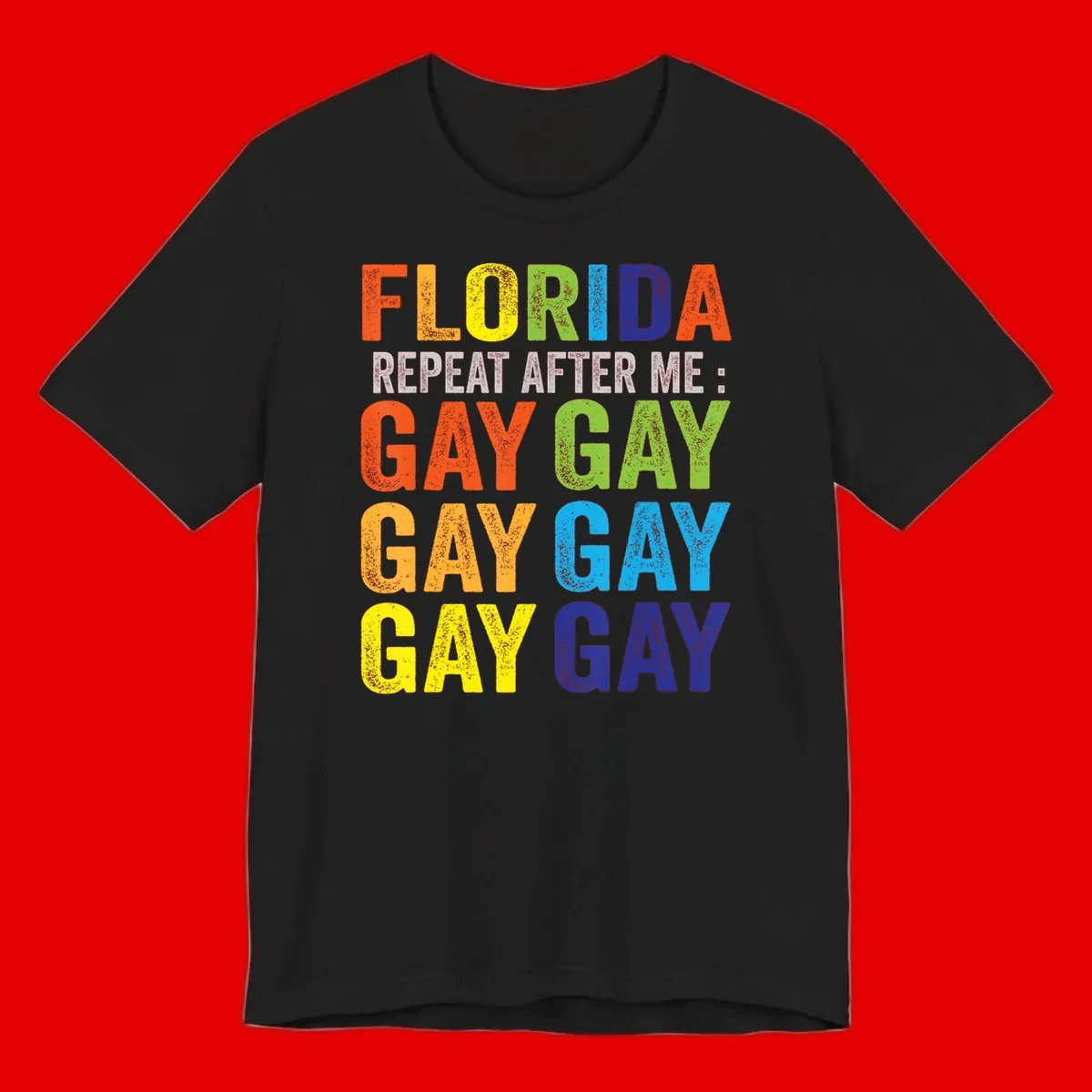 Rainbow colored text reading 'Florida Repeat After Me: Gay Gay Gay Gay' with distressed grunge texture on gray background