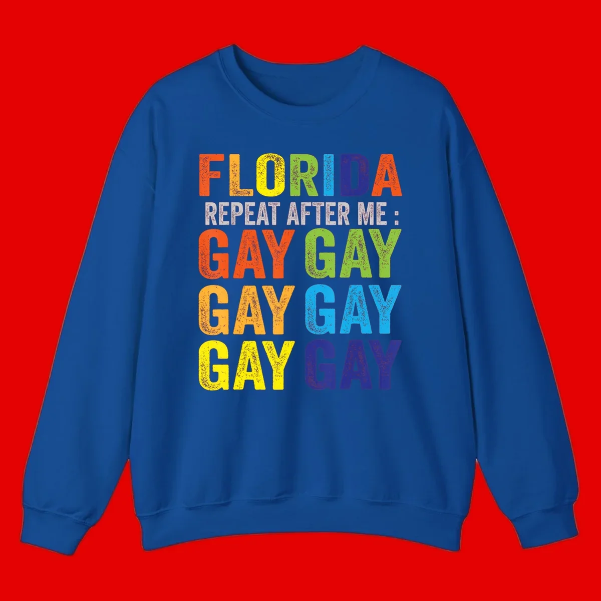 Rainbow colored text reading 'Florida Repeat After Me: Gay Gay Gay Gay' with distressed grunge texture on gray background