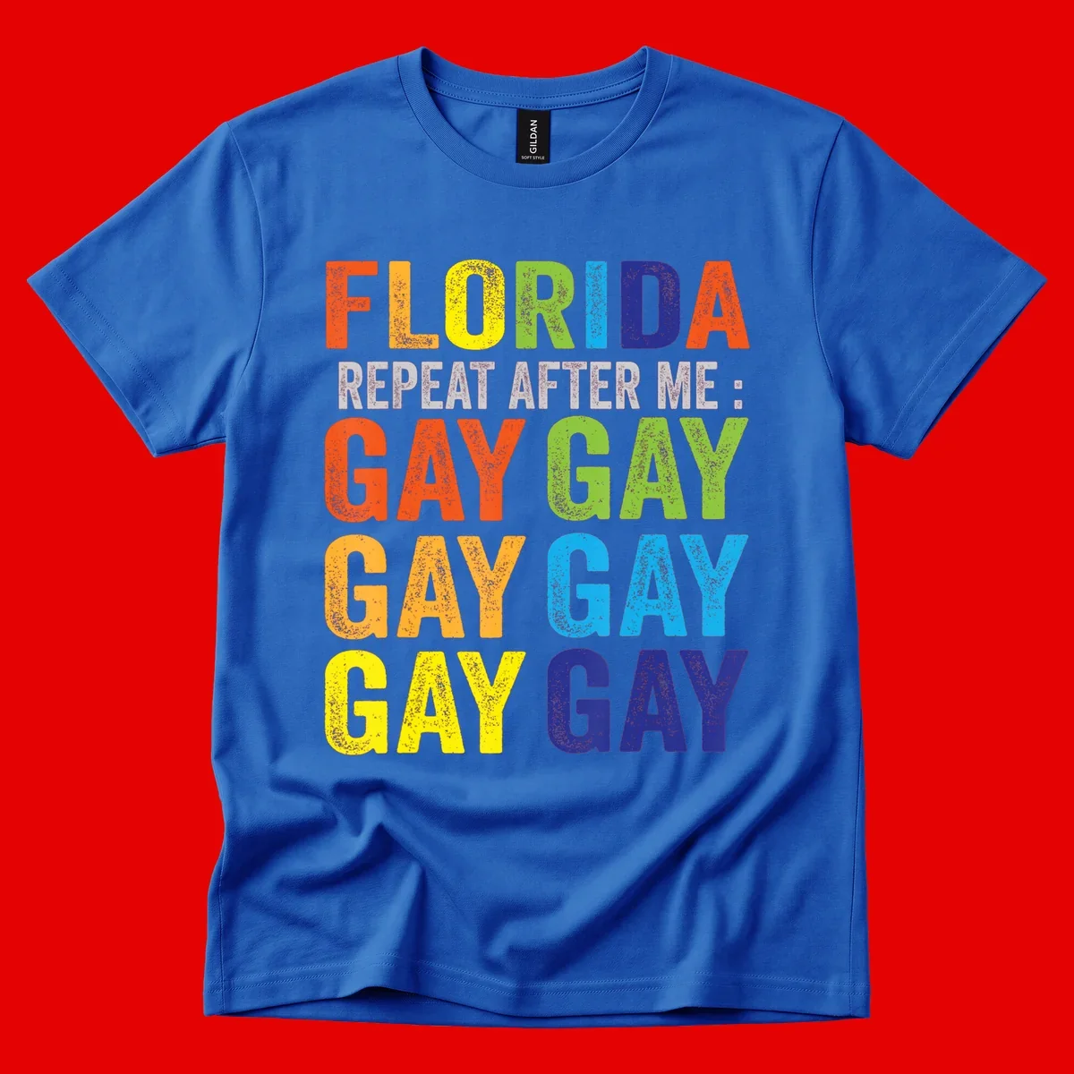 Rainbow colored text reading 'Florida Repeat After Me: Gay Gay Gay Gay' with distressed grunge texture on gray background