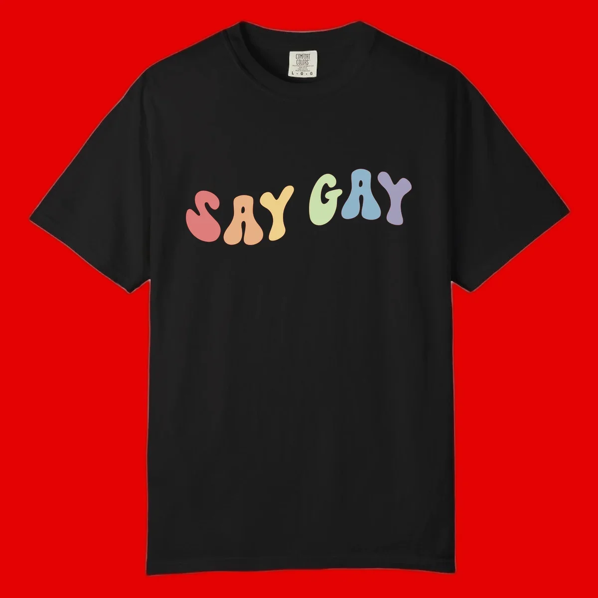 Colorful bubble letters spelling SAY GAY in rainbow pride colors: red, peach, yellow, green, blue, and purple on gray background