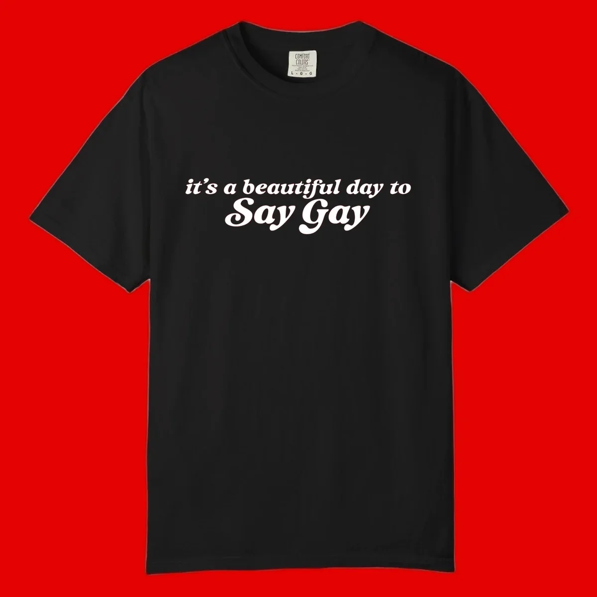 White italic text reading 'it's a beautiful day to Say Gay' on gray background, beautiful-day-say-gay pride design