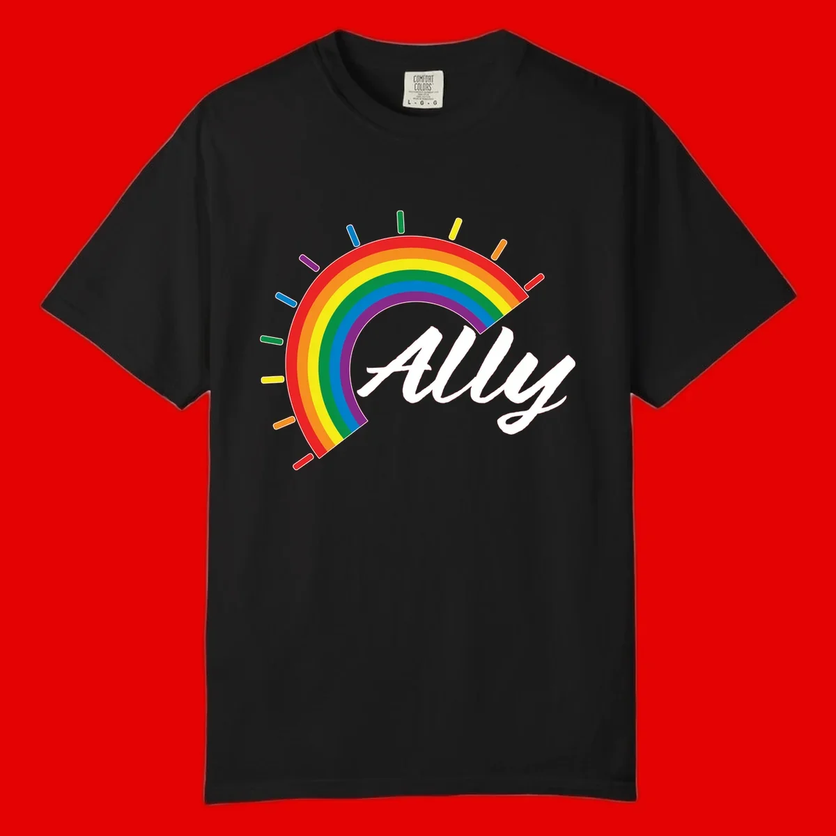 Colorful pride rainbow arc with radiating lines behind white cursive 'ally' text on gray background