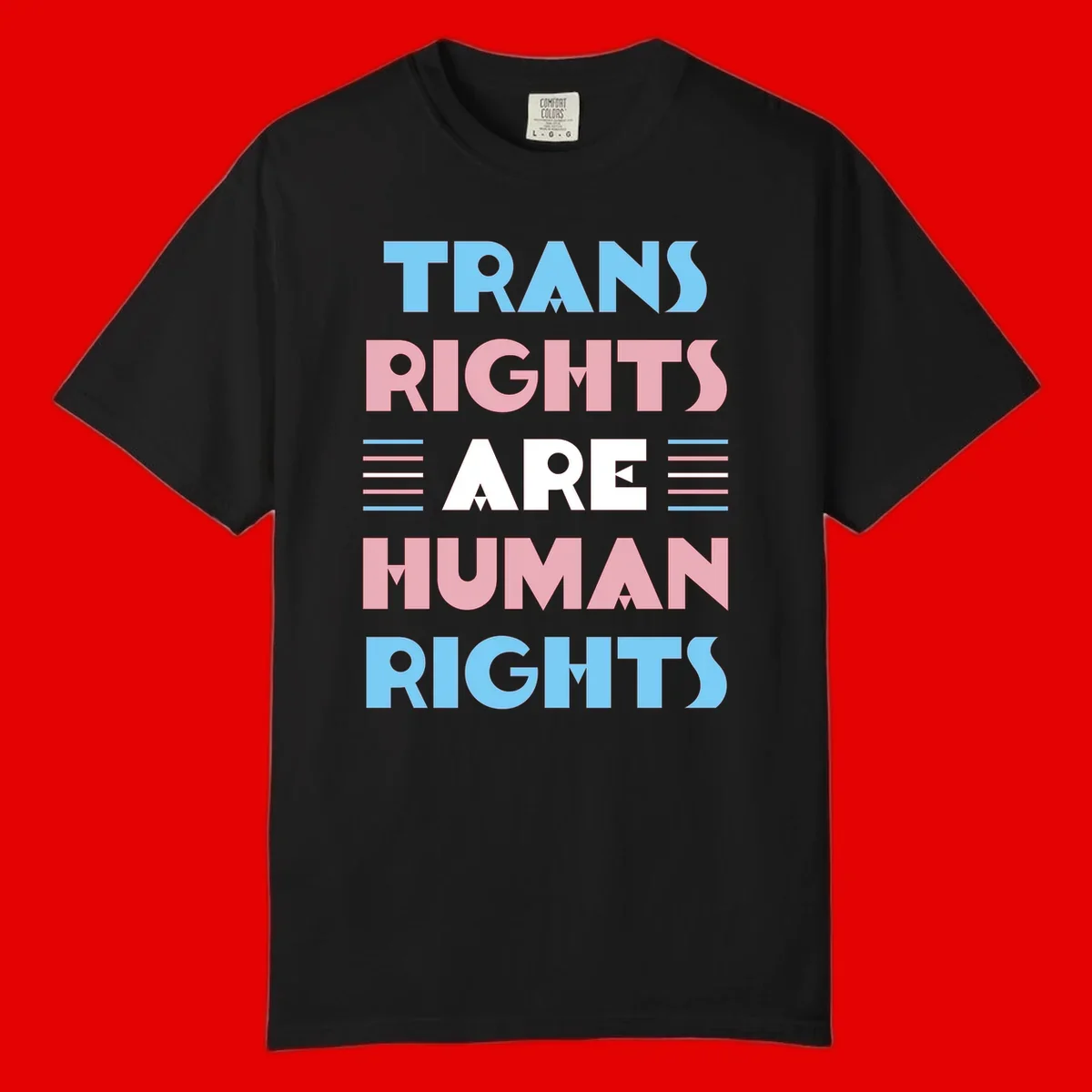 Bold typography design reading 'TRANS RIGHTS ARE HUMAN RIGHTS' in light blue, pink, and white letters with decorative stripes on a gray background
