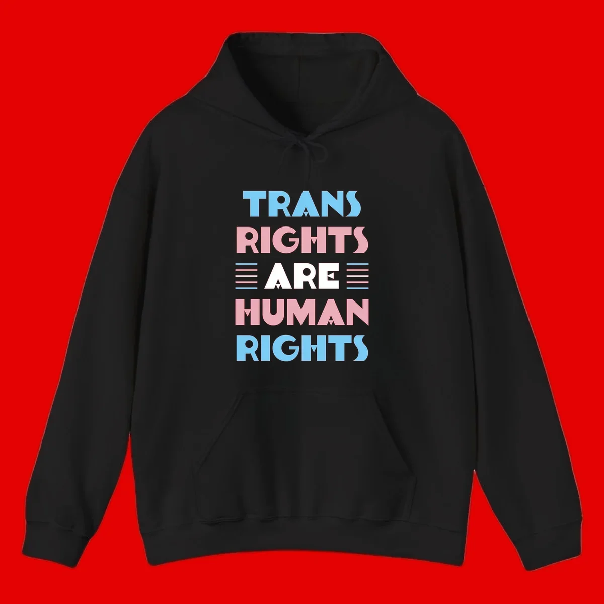 Bold typography design reading 'TRANS RIGHTS ARE HUMAN RIGHTS' in light blue, pink, and white letters with decorative stripes on a gray background