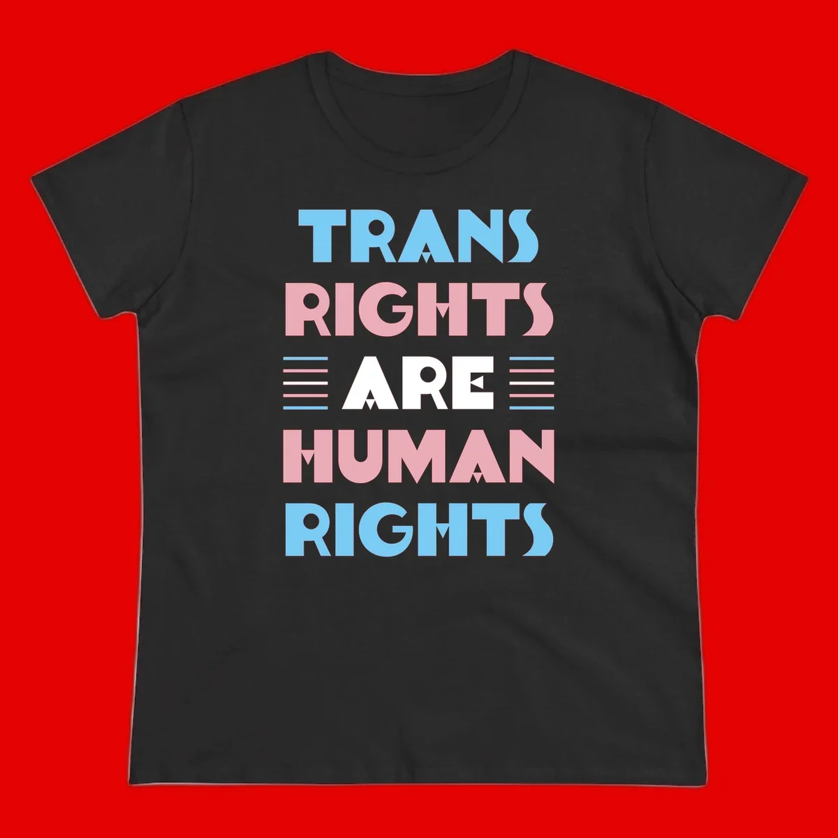 Bold typography design reading 'TRANS RIGHTS ARE HUMAN RIGHTS' in light blue, pink, and white letters with decorative stripes on a gray background
