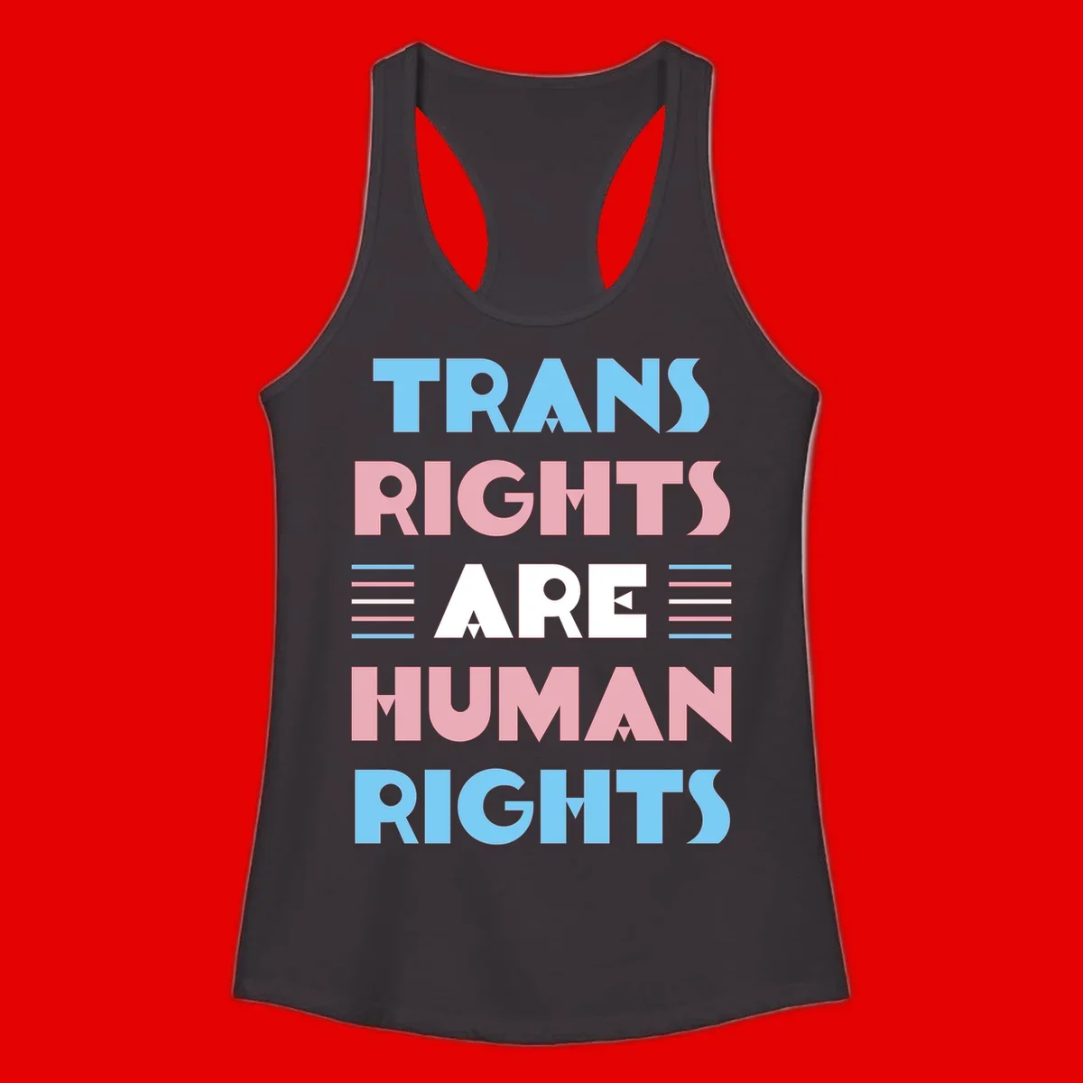 Bold typography design reading 'TRANS RIGHTS ARE HUMAN RIGHTS' in light blue, pink, and white letters with decorative stripes on a gray background