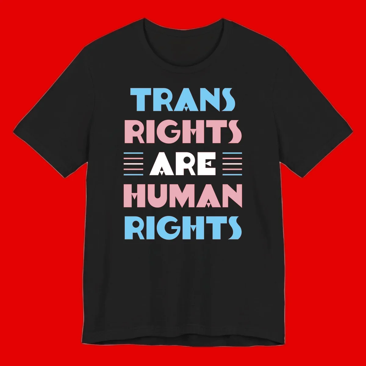 Bold typography design reading 'TRANS RIGHTS ARE HUMAN RIGHTS' in light blue, pink, and white letters with decorative stripes on a gray background