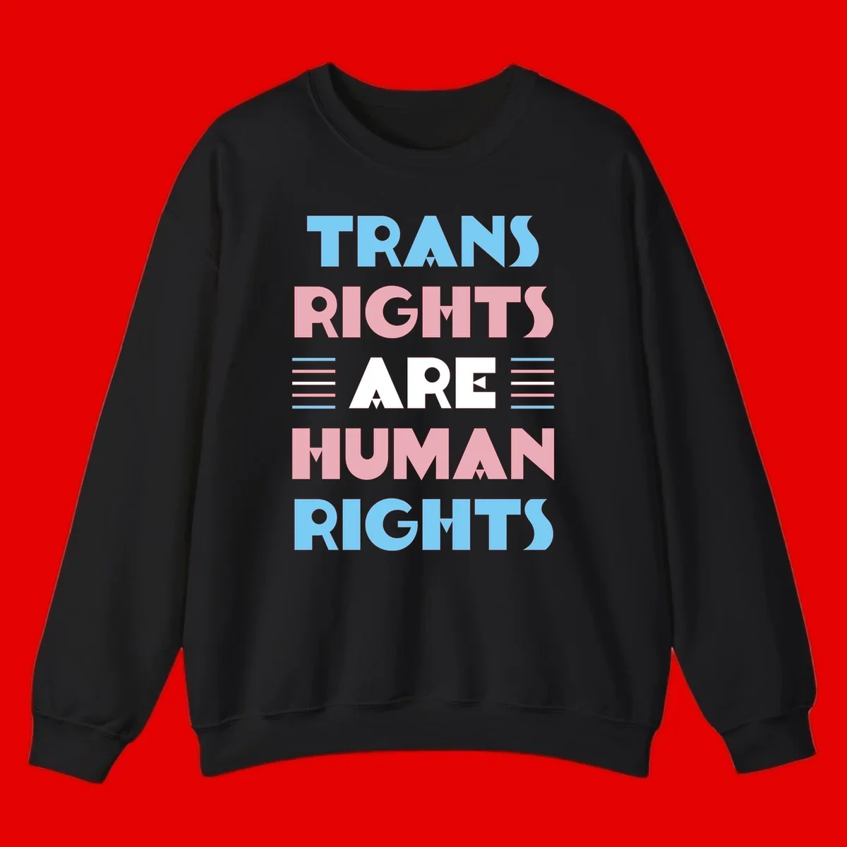 Bold typography design reading 'TRANS RIGHTS ARE HUMAN RIGHTS' in light blue, pink, and white letters with decorative stripes on a gray background