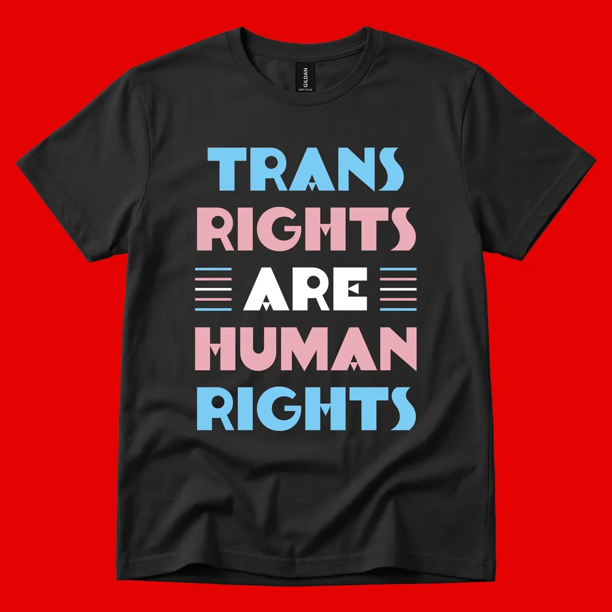 Bold typography design reading 'TRANS RIGHTS ARE HUMAN RIGHTS' in light blue, pink, and white letters with decorative stripes on a gray background