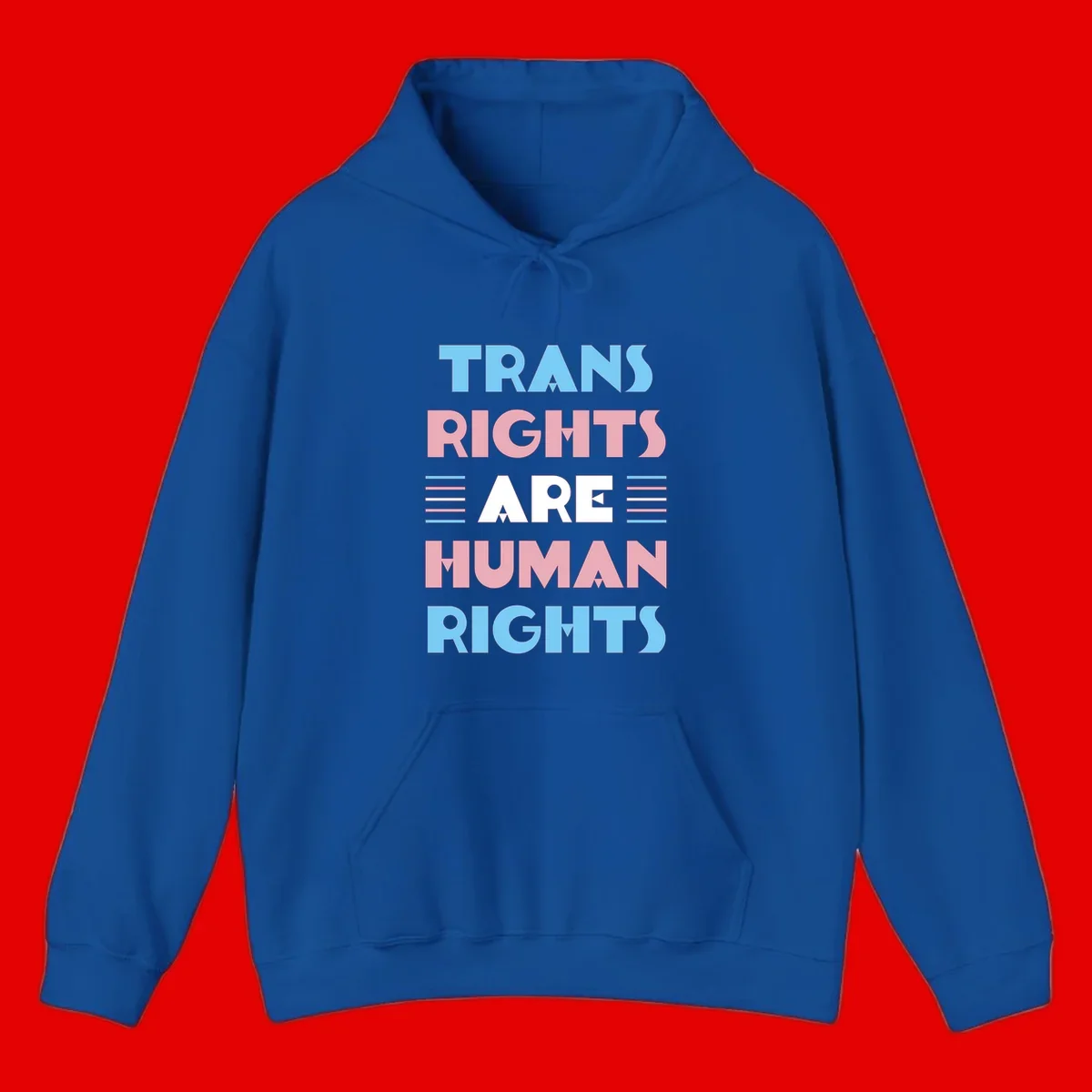Bold typography design reading 'TRANS RIGHTS ARE HUMAN RIGHTS' with transgender flag colored stripes on gray background