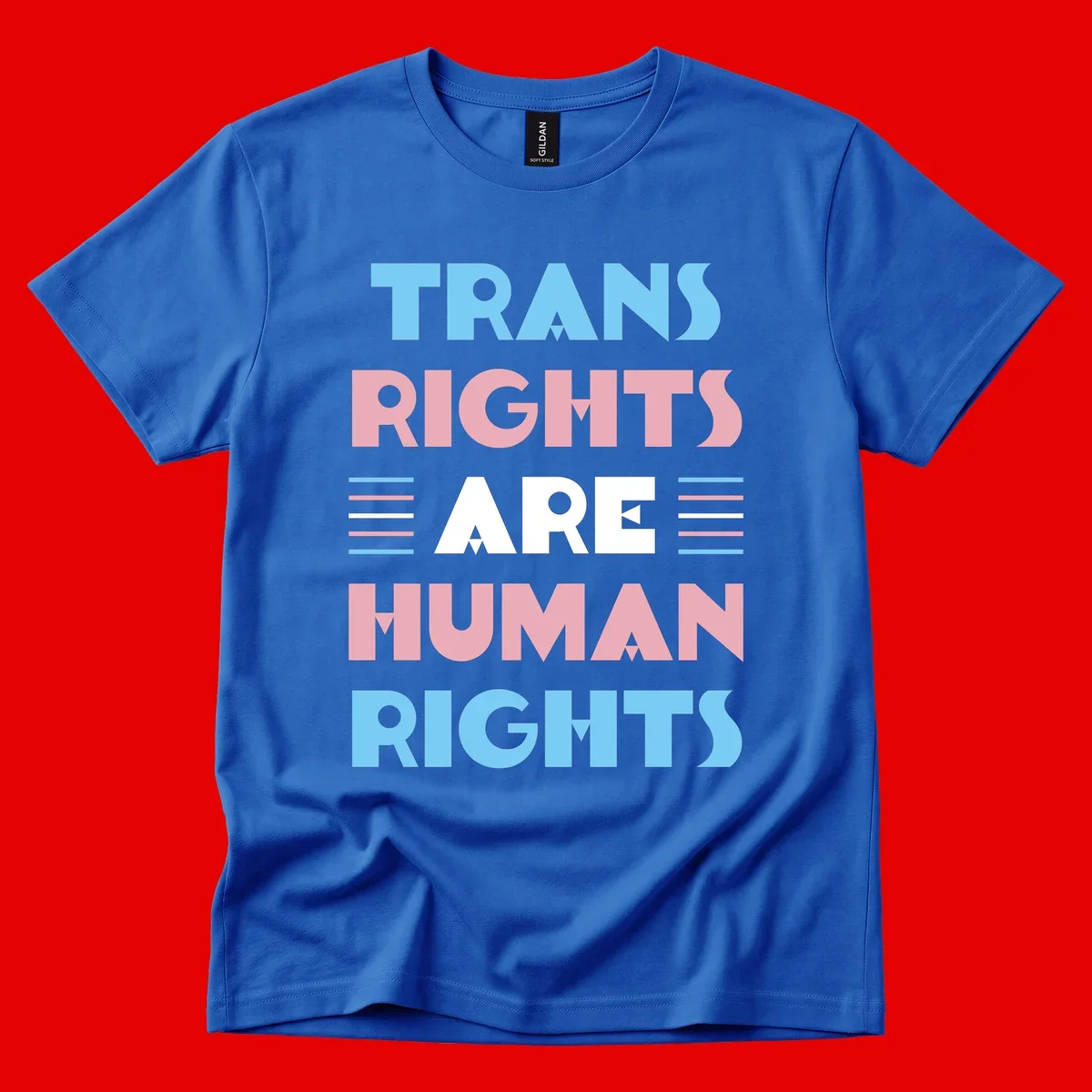 Bold typography design reading 'TRANS RIGHTS ARE HUMAN RIGHTS' with transgender flag colored stripes on gray background
