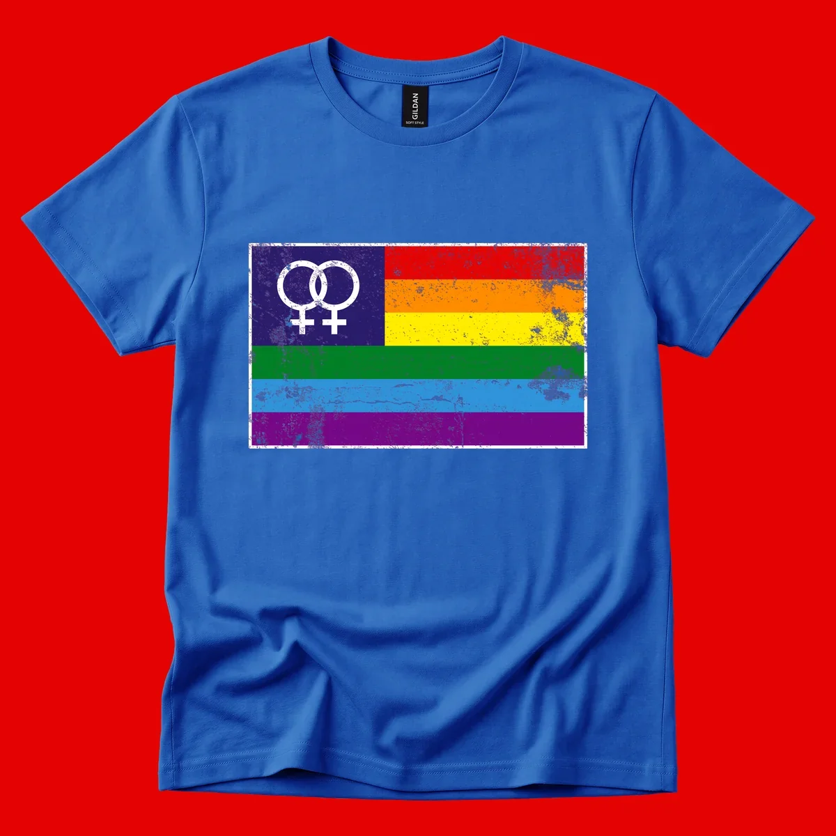 Lesbian pride flag with two interlocking female symbols on distressed background, rainbow stripes design