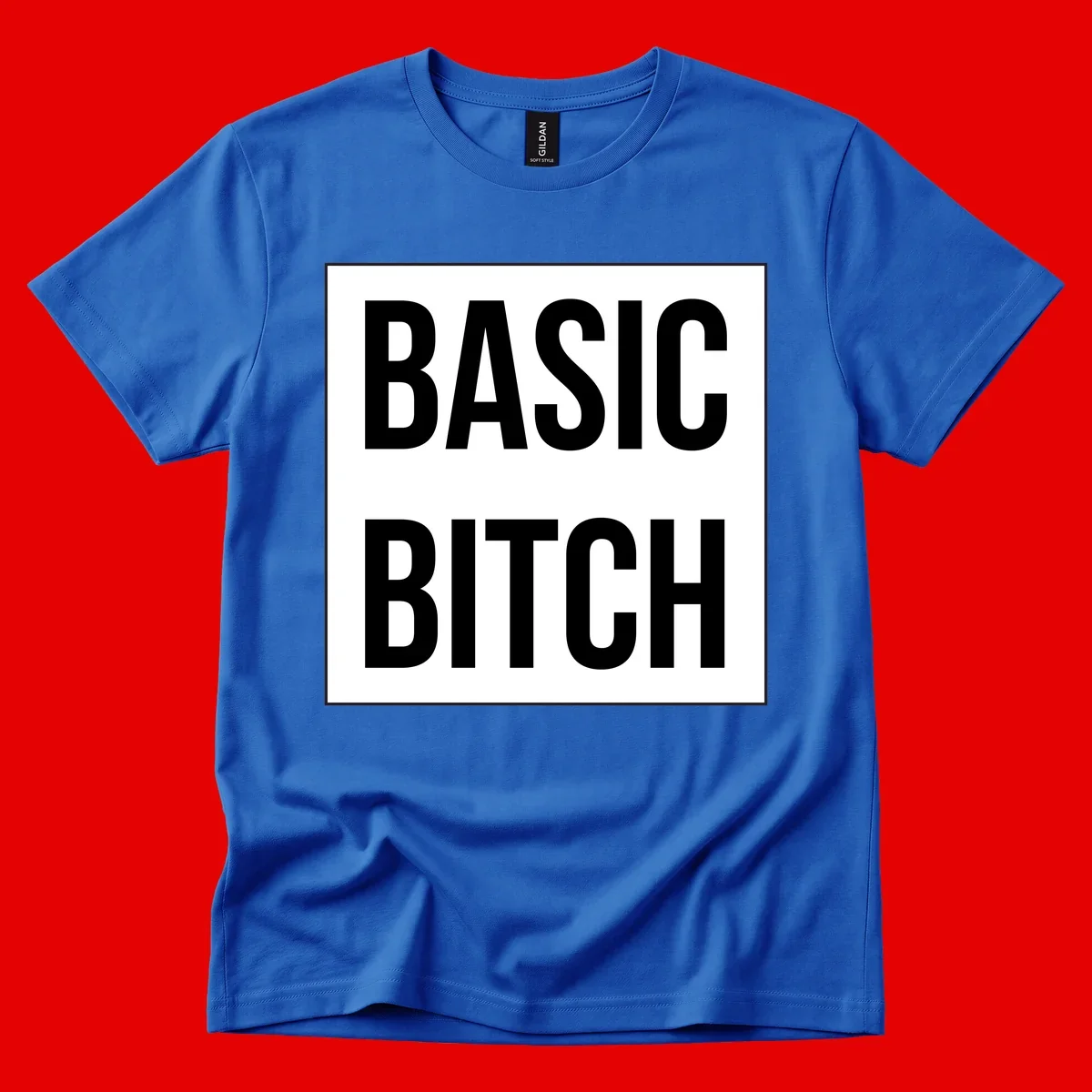 Black and white basic bitch attitude graphic with bold sans-serif text in rectangular border frame