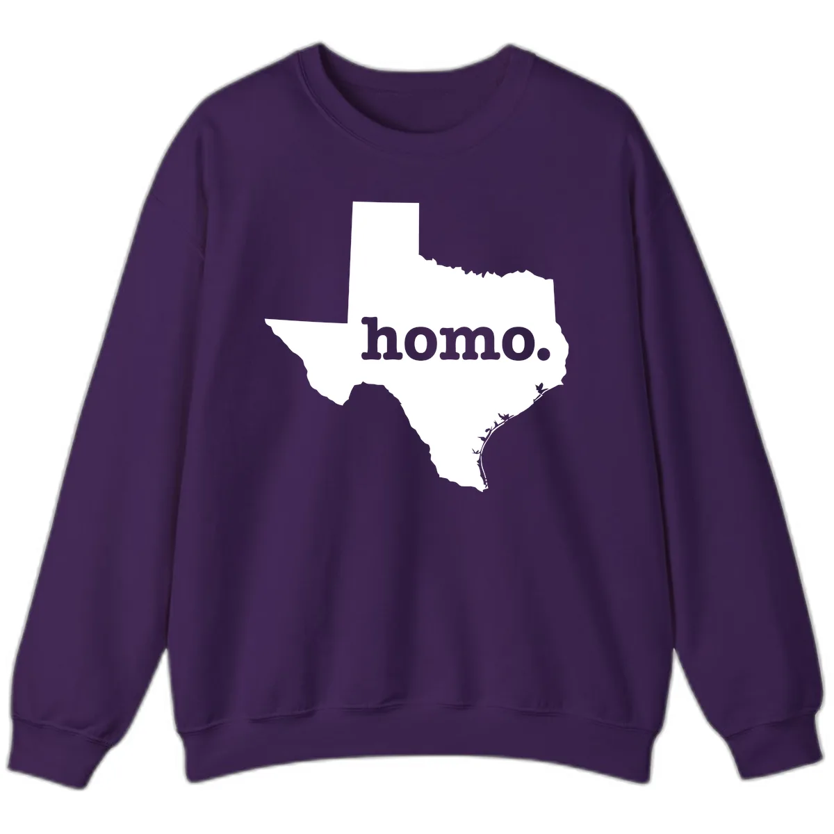 Home Sweet Texas Sweatshirt in Purple