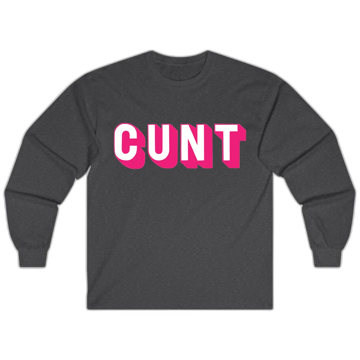 Sunt Bold Pride Statement Long Sleeve in Dark Heather