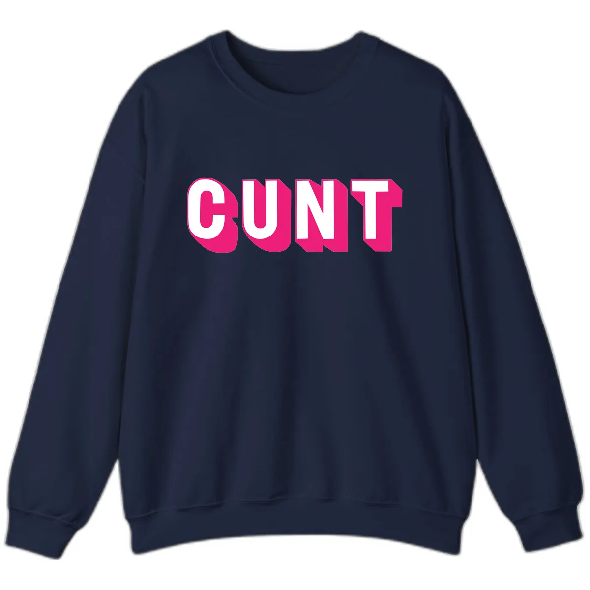 Sunt Bold Pride Statement Sweatshirt in Navy