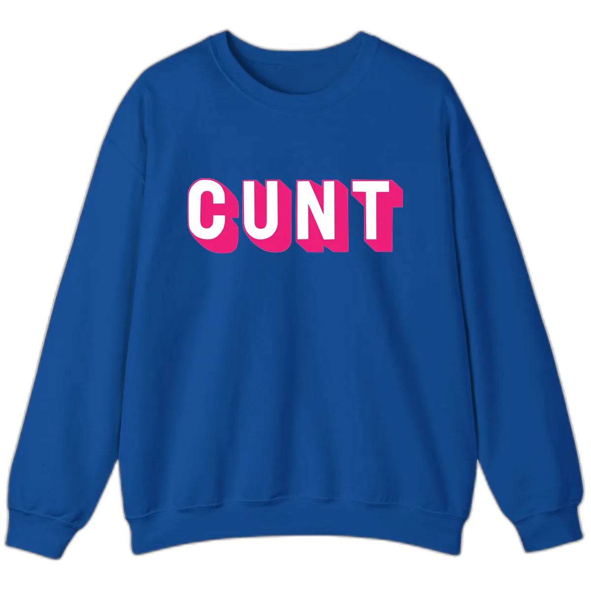 Sunt Bold Pride Statement Sweatshirt in Royal