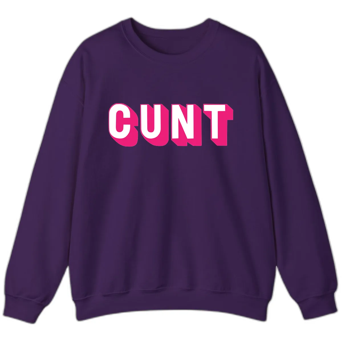 Sunt Bold Pride Statement Sweatshirt in Purple