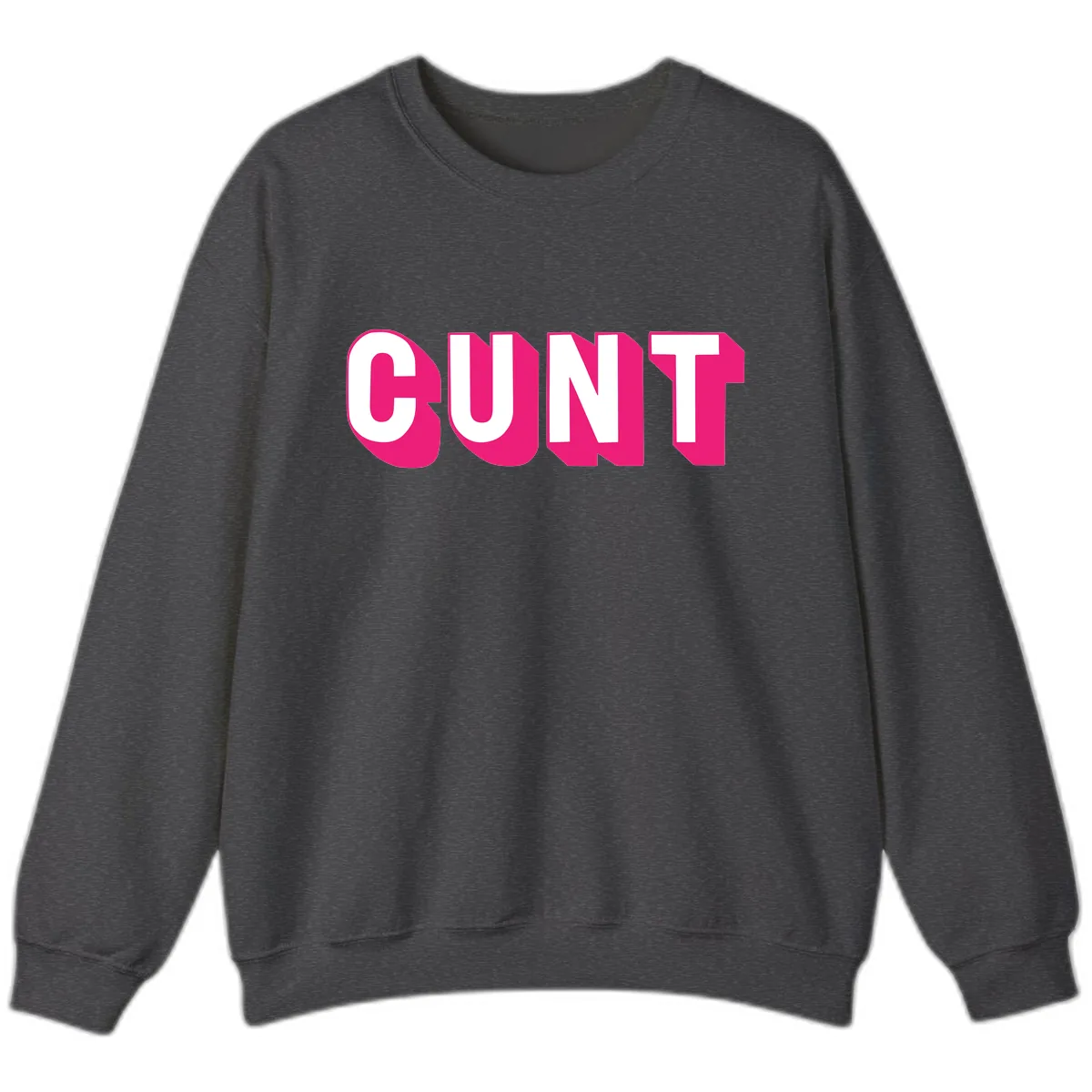 Sunt Bold Pride Statement Sweatshirt in Dark Heather