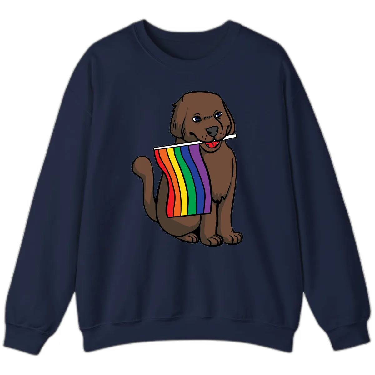 Rainbow Pride Dog Sweatshirt in Navy