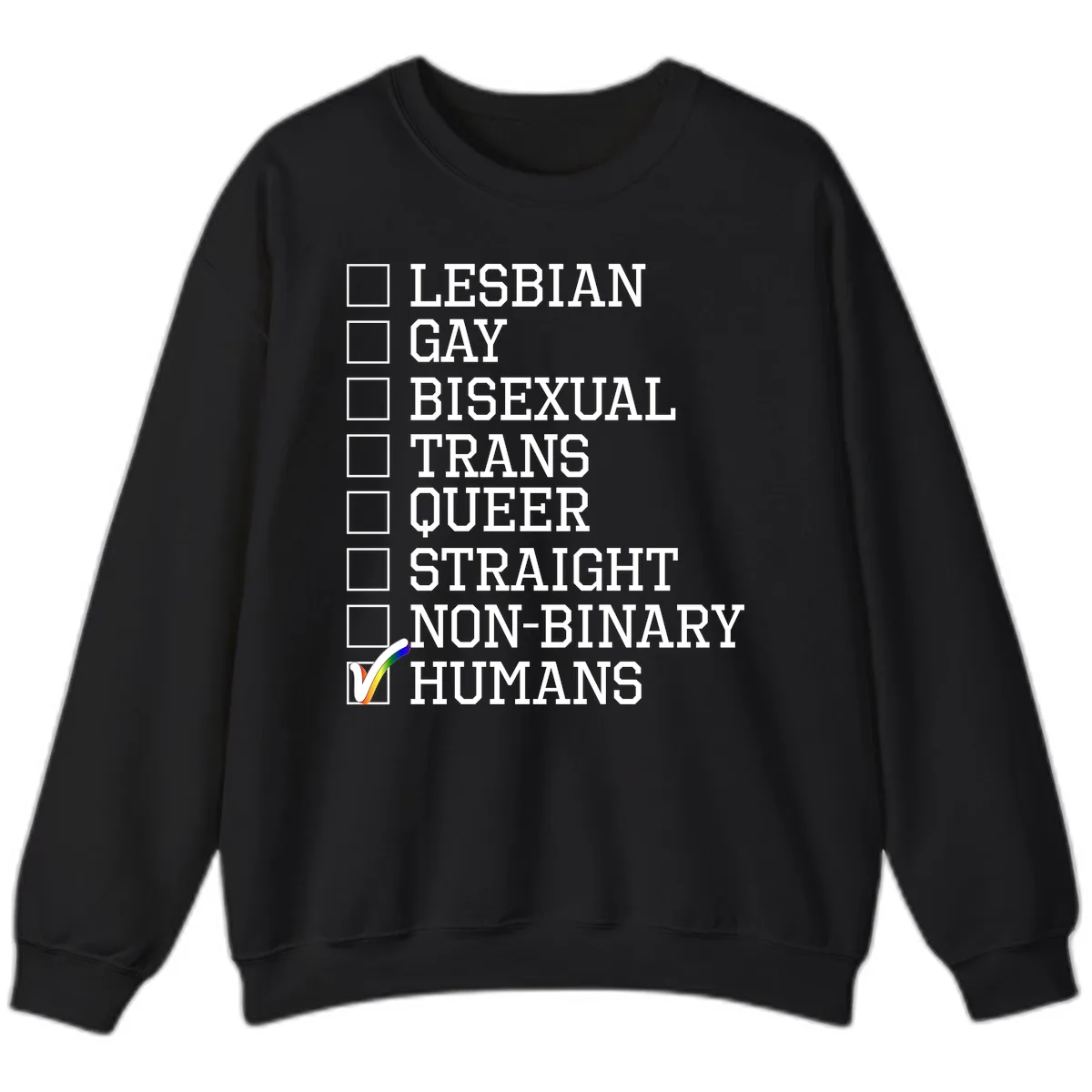 LGBTQ+ Pride Checklist Sweatshirt in Black