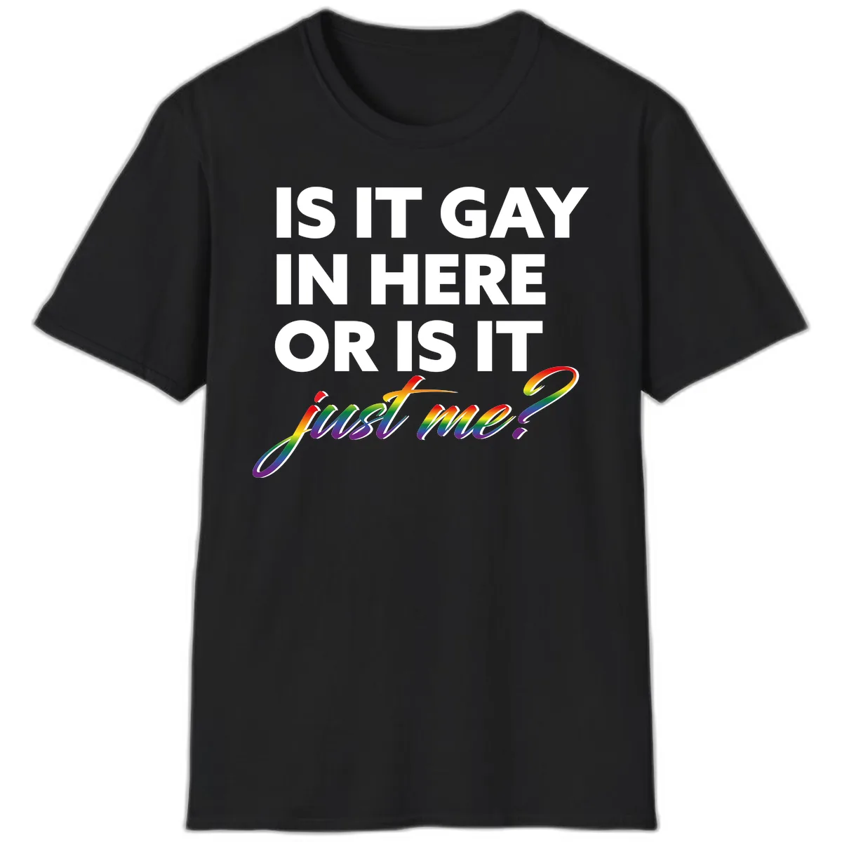 Is It Gay In Here Or Is It Me T-Shirt in Black
