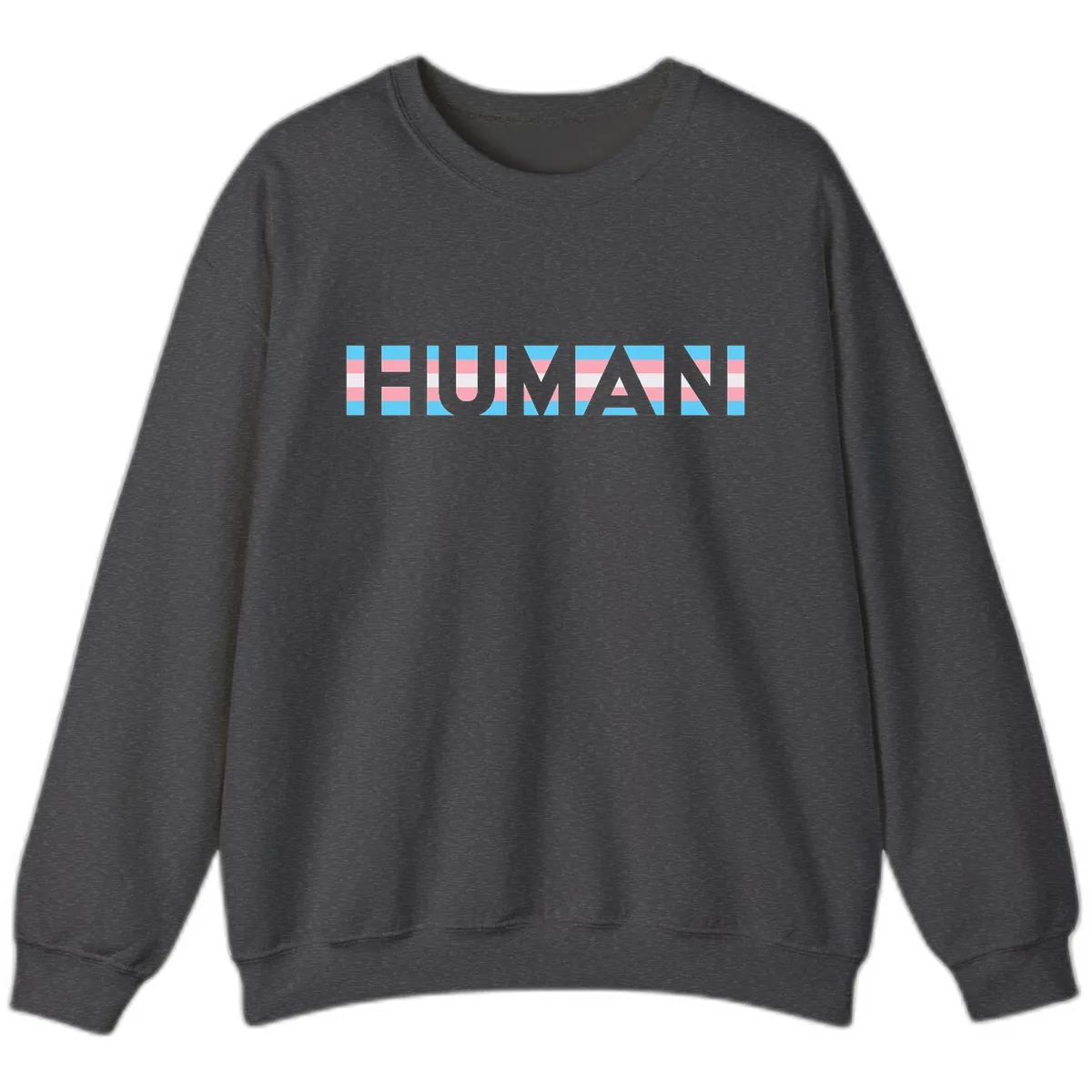 Human Pride Striped Design Sweatshirt in Dark Heather