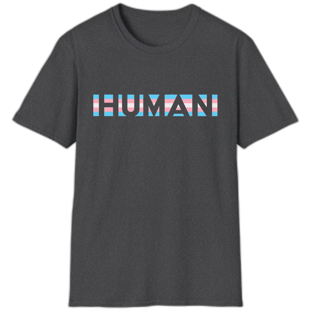 Human Pride Striped Design T-Shirt in Dark Heather