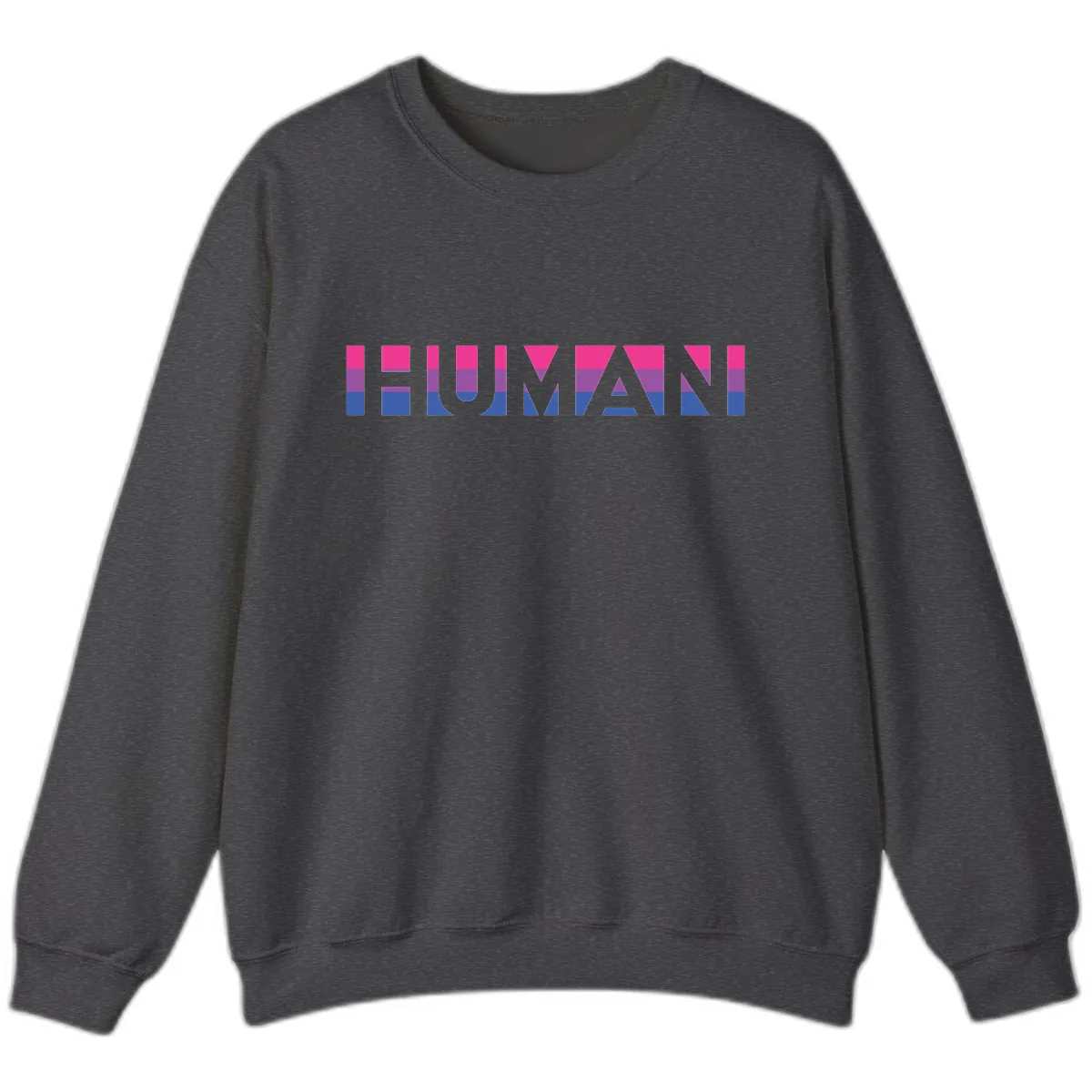 Human Pride Striped Design Sweatshirt in Dark Heather
