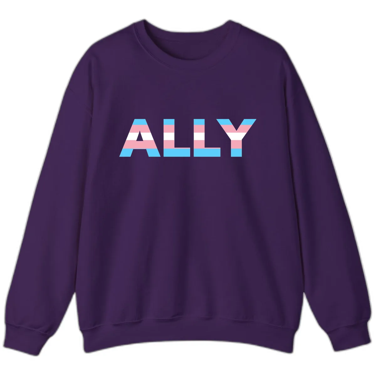 Trans Pride Flag Stripes Sweatshirt in Purple