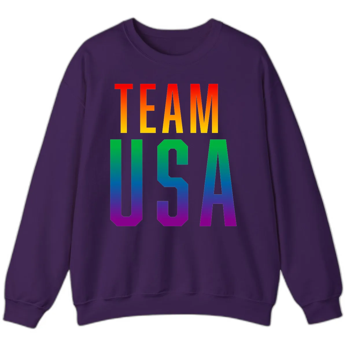 Team USA Rainbow Pride Sweatshirt in Purple