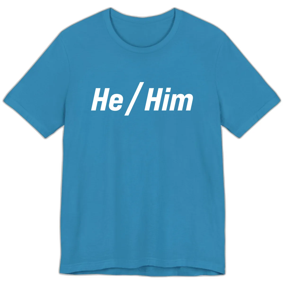 He Slash Him Pronoun Pride Premium T-Shirt in Aqua