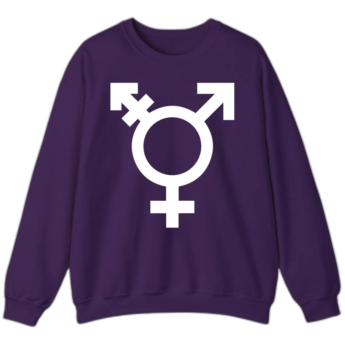 Trans Pride Symbol Sweatshirt in Purple