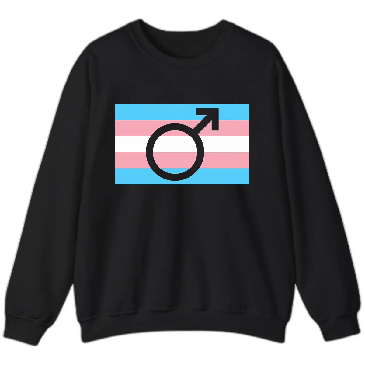 Trans Pride Flag Symbol Sweatshirt in Black