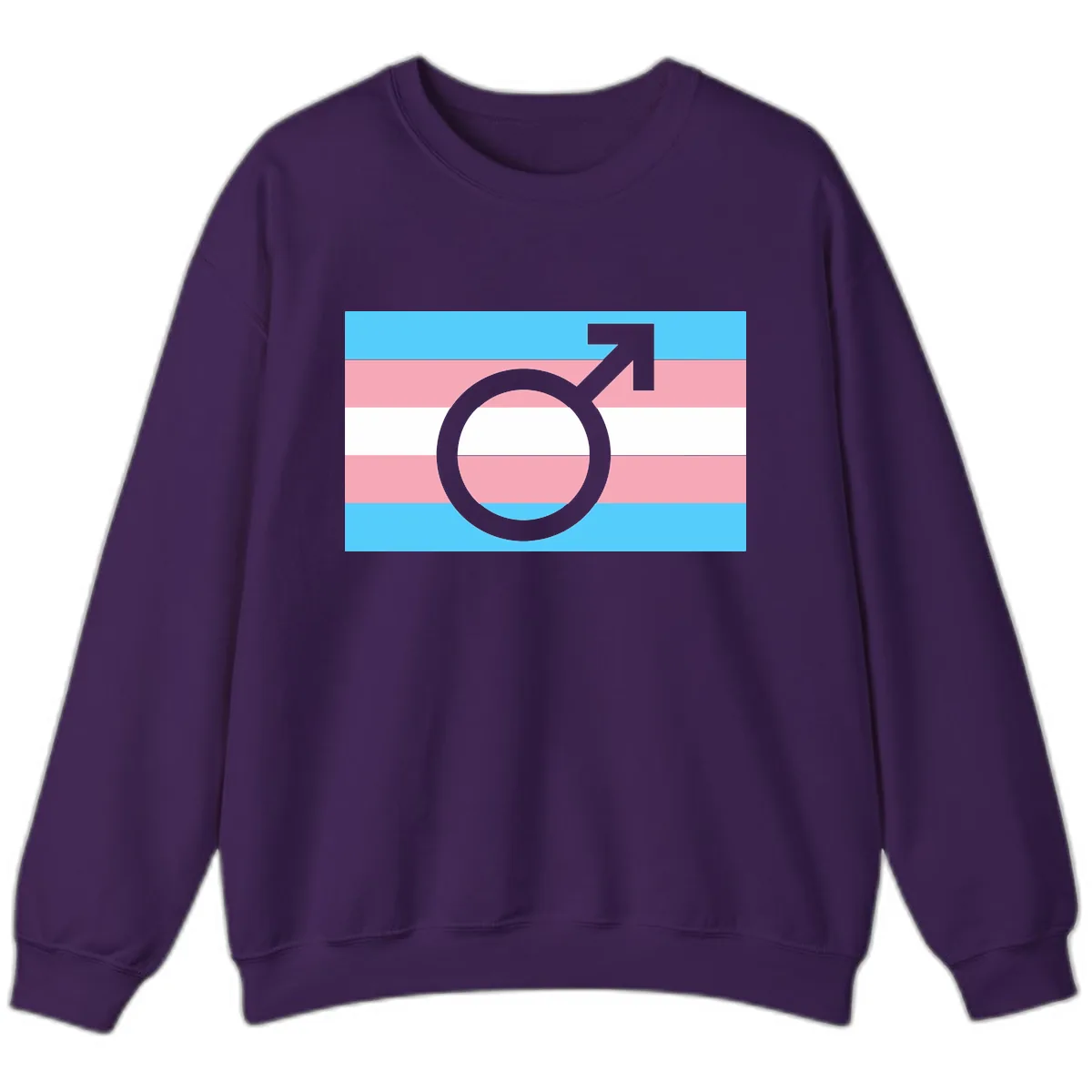 Trans Pride Flag Symbol Sweatshirt in Purple