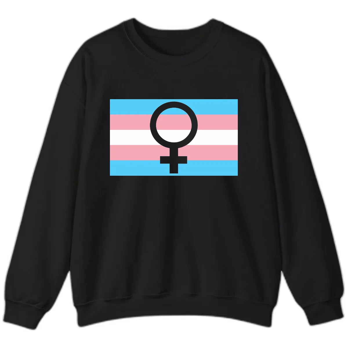 Trans Pride Flag Symbol Sweatshirt in Black
