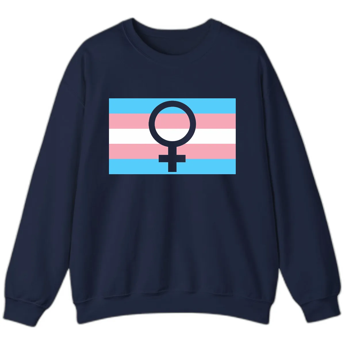 Trans Pride Flag Symbol Sweatshirt in Navy