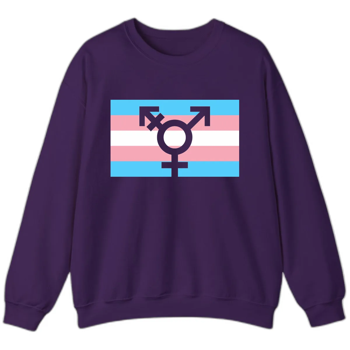 Transgender Pride Flag Symbol Sweatshirt in Purple
