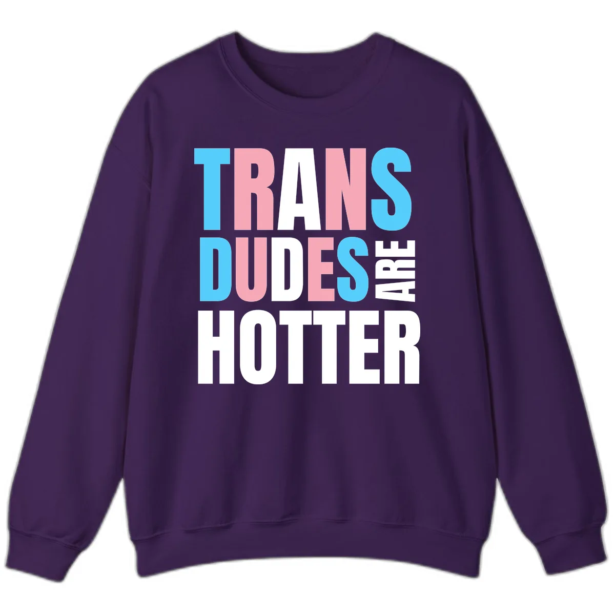 Trans Dudes Are Hotter Sweatshirt in Purple