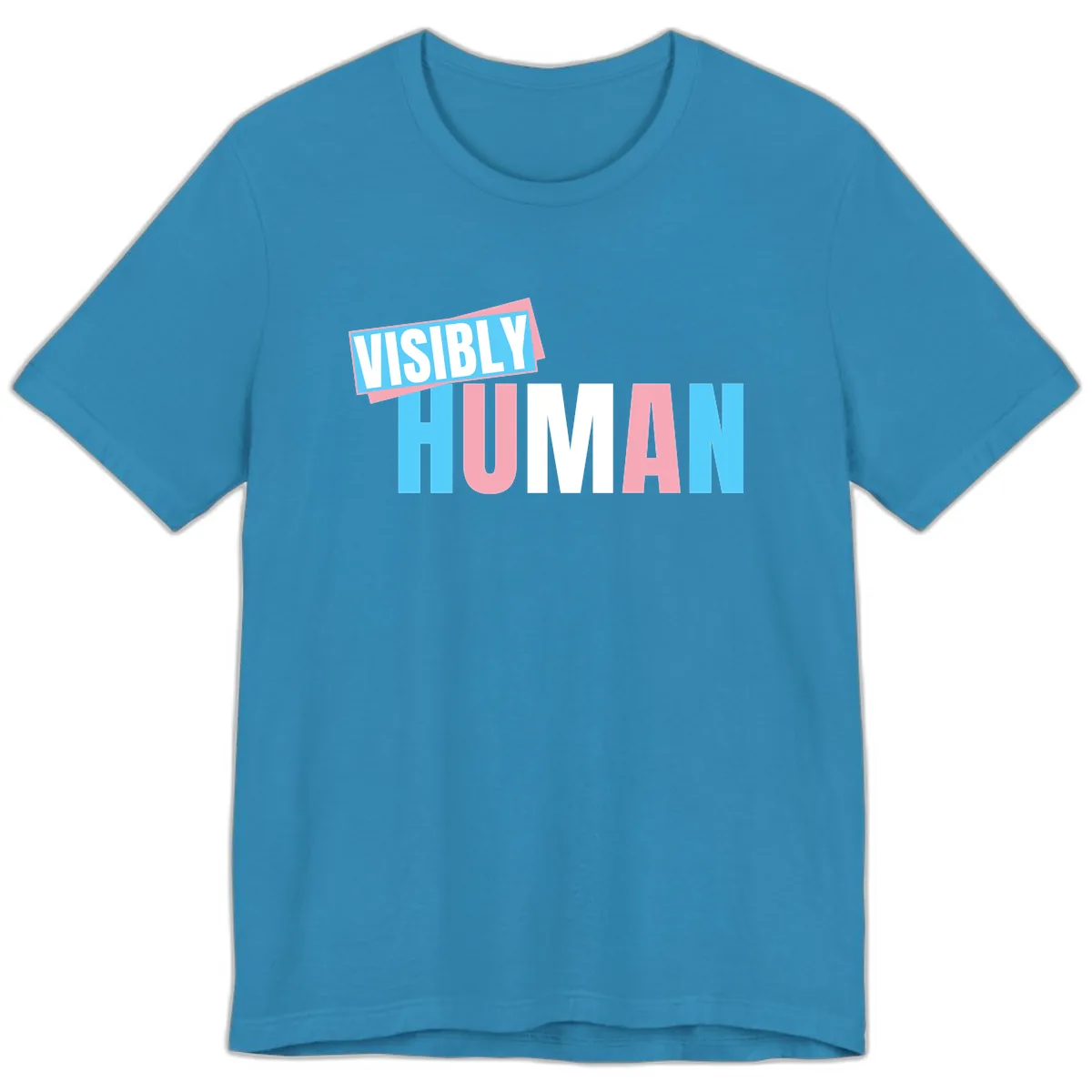 Visibly Human Pride Statement Premium T-Shirt in Aqua