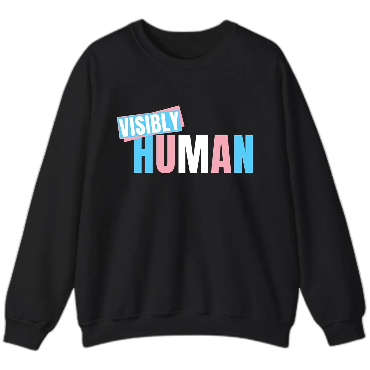 Visibly Human Pride Statement Sweatshirt in Black